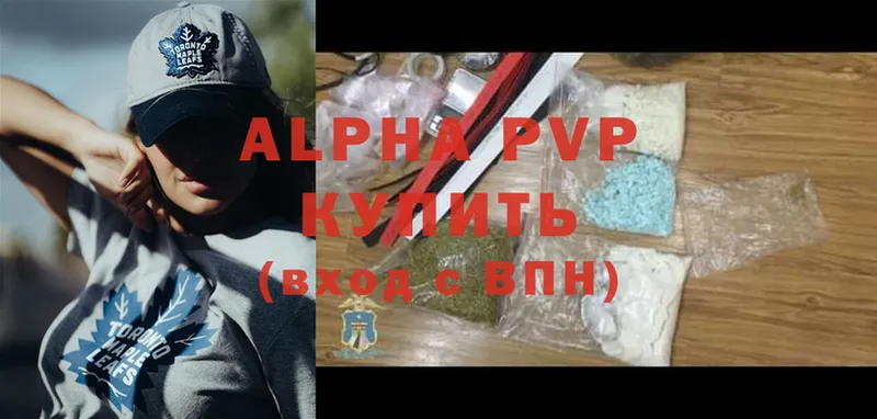 A PVP СК КРИС  Комсомольск 